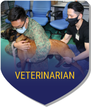 Veterinarian